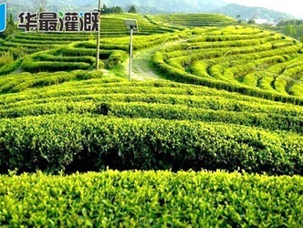 節(jié)水灌溉系統(tǒng)中如何確定作物所需的施肥總量,？