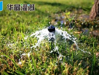 什么是涌泉灌溉？