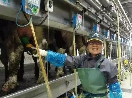 我國正在利用以色列的制度建立自己的乳制品行業(yè)