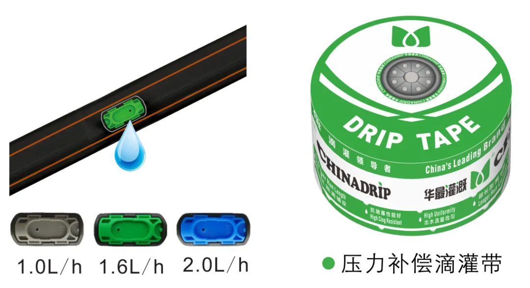 灌溉管網(wǎng)設(shè)計與布置